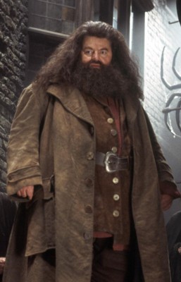 http://www.sunpig.com/abi/images/2005/11/hagrid.jpg