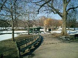 Boston Common, with snow