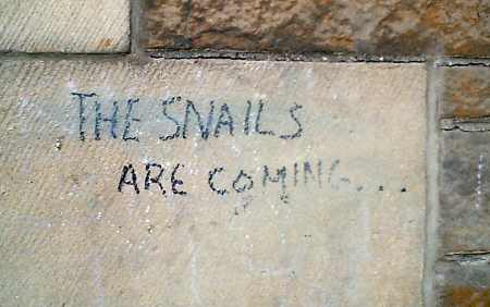 Edinburgh Graffiti: The snails are coming